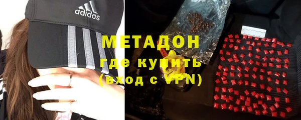 прущие грибы Абинск
