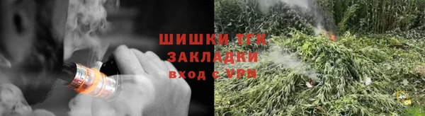 тгк Абаза