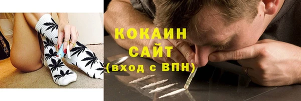 прущие грибы Абинск