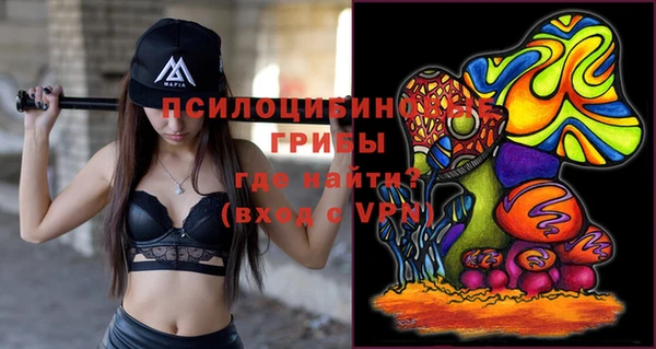 прущие грибы Абинск