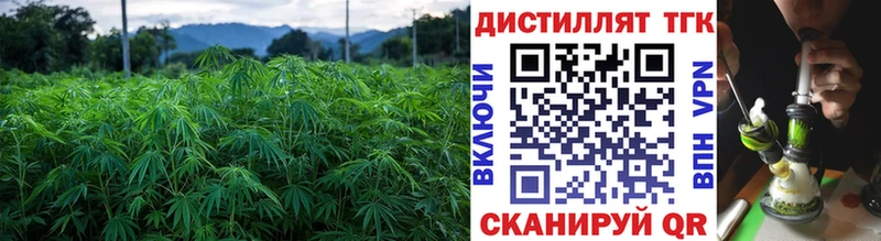 ссылка на мегу зеркало  Орск  ТГК вейп  где можно купить  